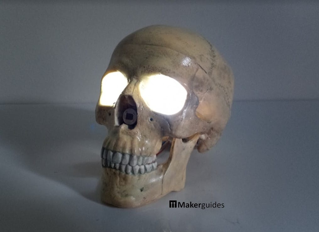 Motion activated night light in skull