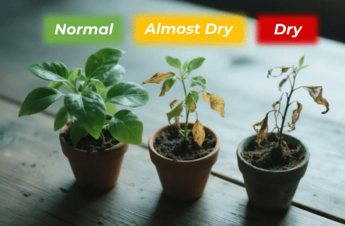 Color codes for soil moisture levels